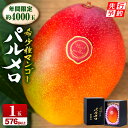 【ふるさと納税】《2026年発送先行予約》【数量・期間限定】宮崎県産希少種マンゴーパルメロ 計576g以上 1玉入り 果物 フルーツ スイーツ デザート ご褒美...