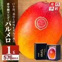 【ふるさと納税】【先行予約】《2025年発送》期間限定 数量限定 宮崎県産 希少種 マンゴー パルメロ 計576g以上 1玉入り 果物 フルーツ スイーツ デザ...