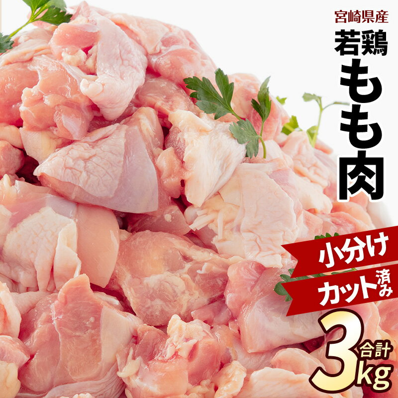 【ふるさと納税】 《レビューキャンペーン》 宮崎県産 若鶏もも肉 300g×10P 計3kg | 肉 鶏肉 とりもも...