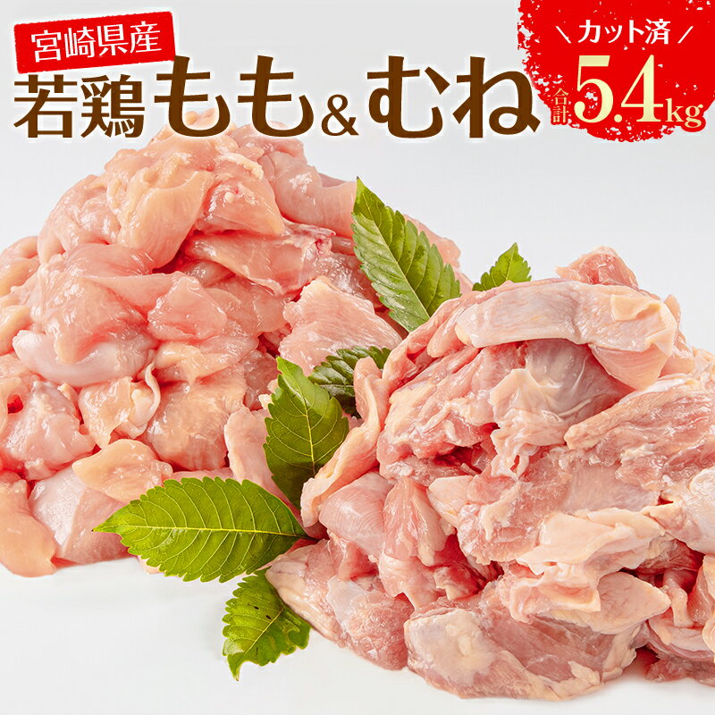 宮崎県産 若鶏 もも むね 切り身 小分け パック 合計5.4kg 鶏もも 鶏むね 鶏肉 ヘルシー ジューシー 唐揚げ チキン南蛮 揚げ物 サラダチキン 棒棒鶏 冷凍 宮崎県 宮崎市 送料無料