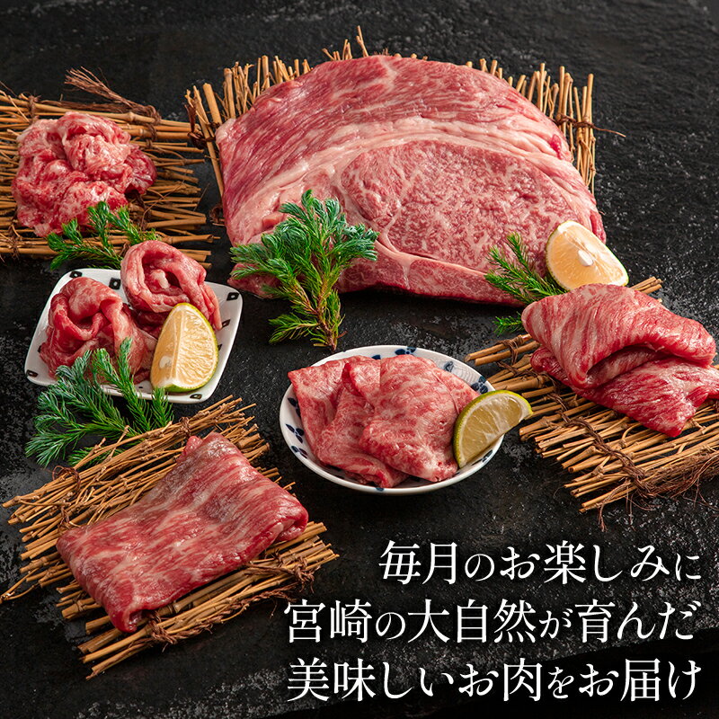 宮崎県宮崎市の画像2