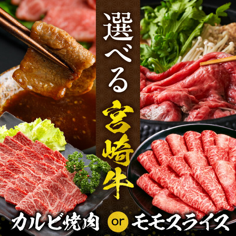 宮崎県宮崎市の画像2