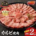【ふるさと納税】《選べる容量・発送時期・定期便》宮崎牛 カルビ焼肉 牛肉 肉 お肉 精肉 国産牛 ブランド牛 和牛 黒毛和牛 A4 カルビ 牛カルビ 小分け パック 使い勝手 冷凍 焼肉 BBQ アウトドア キャンプ お取り寄せ グルメ おすすめ 人気 宮崎市 《レビューキャンペーン》