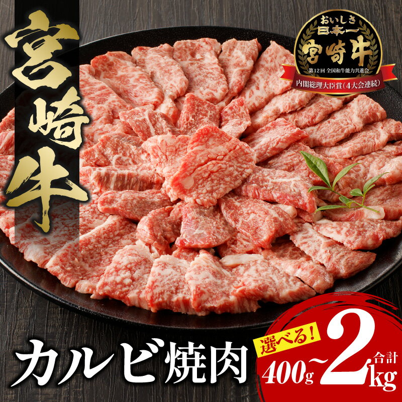 【ふるさと納税】《容量・発送月が選べる 》《レビューキャンペーン》宮崎牛 カルビ 焼肉 全国放送 テレビ TV 放送 宮崎牛 牛肉 肉 牛 国産牛 国産 焼き肉 BBQ 牛カルビ 冷凍 小分け 贈答 贈答…