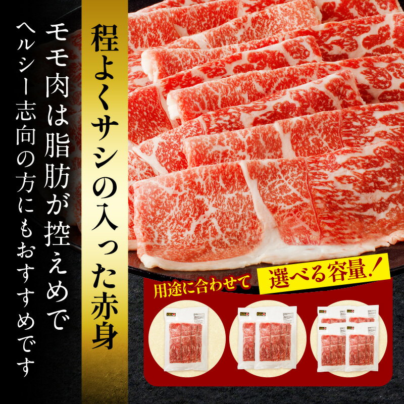 宮崎県宮崎市の画像3