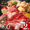 【ふるさと納税】宮崎牛 牛すじ 2kg 牛肉 肉 精肉 すじ肉 国産牛 黒毛和牛 和牛 国産 宮崎県産 A4 4等級以上 パック 冷凍 おつまみ つまみ 料理 ...