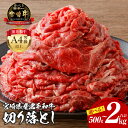 【ふるさと納税】《内容量が選べる》 宮崎牛 切り落とし 500g〜2kg スライス カレー ハヤシライス 肉野菜炒め 牛丼 国産牛 黒毛和牛 和牛 国産 宮崎県...