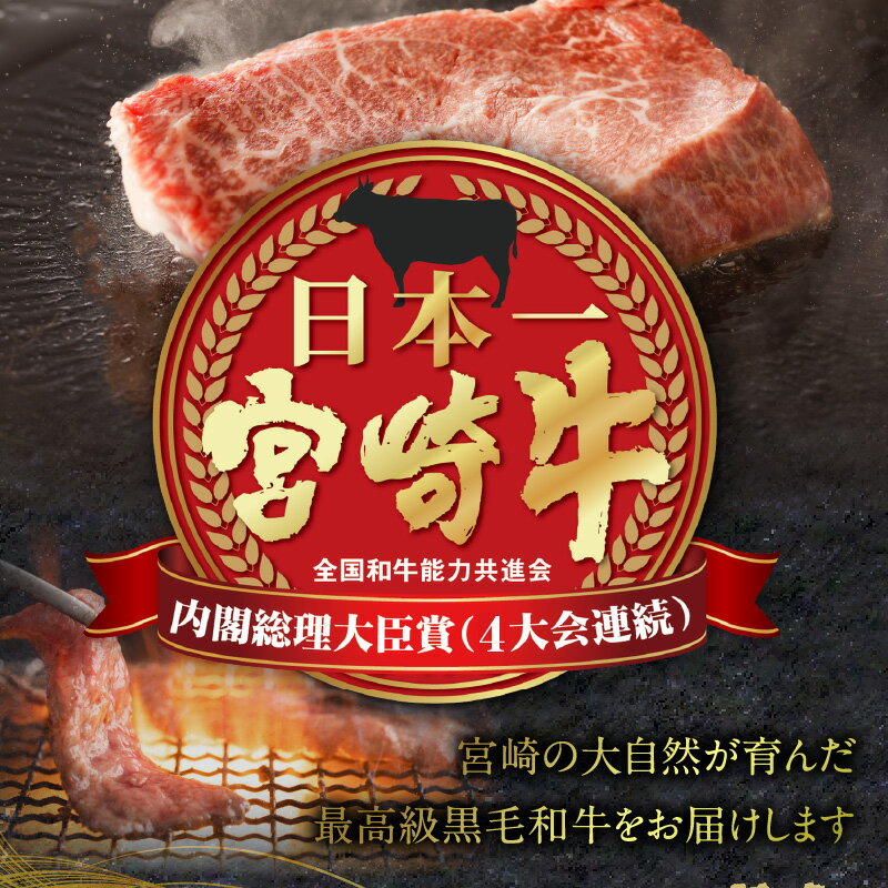 【ふるさと納税】宮崎牛 サーロインステーキ 4枚 合計800g サーロイン ステーキ 焼肉 肉 牛肉 ステーキの王様 霜降り 肉質 黒毛和牛 黒毛和種 ブランド牛 国産牛 国産 人気 4等級以上 ブランド 贈り物 ギフト ご褒美 冷凍 宮崎県産 畜産 宮崎市 送料無料