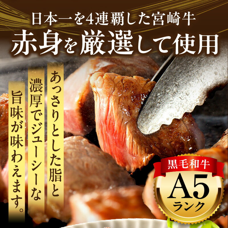 宮崎県宮崎市の画像2