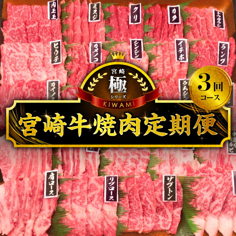 【ふるさと納税】極シリーズ 宮崎牛 焼肉 定期便 ウデ モモ