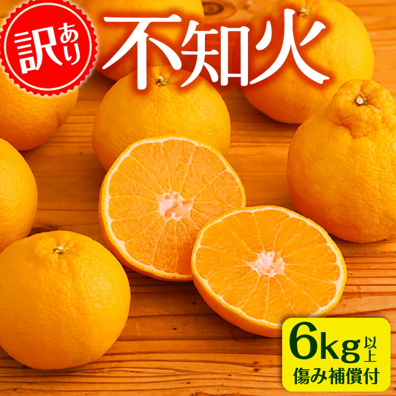 【ふるさと納税】《訳あり》 不知火 6kg みかん オレンジ 晩柑 果肉 濃厚 傷み補償 つき Sサイズ～5Lサイズ サイズ サイズ混合 つぶ感 酸味と甘みのバランス 露地栽培 柑橘 柑橘類 果物 フルーツ 果実 お取り寄せ グルメ 宮崎県 宮崎市 送料無料のサムネイル