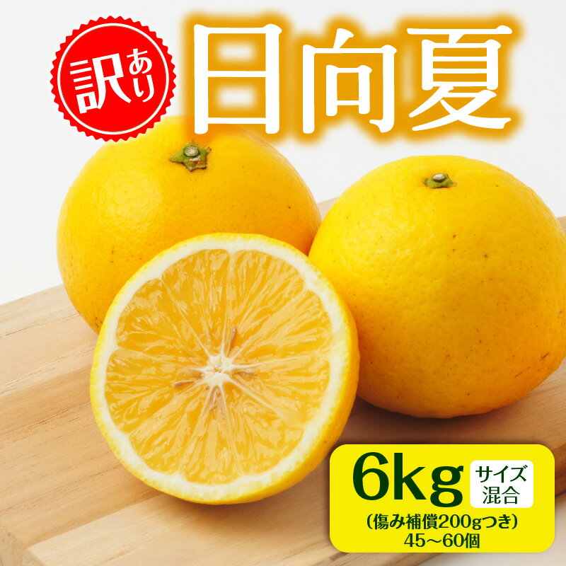 【ふるさと納税】《訳あり》期間限定 日向夏 6kg＋傷み補償(200g)つき サイズ 混合 訳あり日向夏 柑橘 柑橘類 フルーツ 果物 果実 季節の果物 旬の果物 季節 旬 ご家庭用 家庭用 おすそ分け 不揃い 種あり バラツキ アレンジ グルメ お取り寄せ おすすめ 宮崎市 送料無料のサムネイル