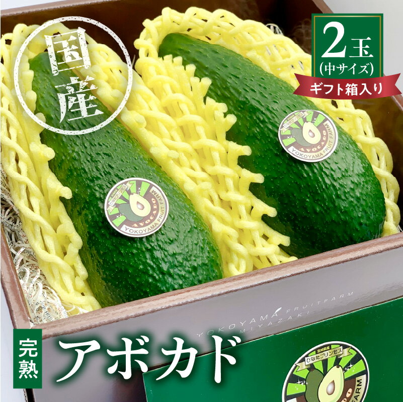 【ふるさと納税】横山果樹園の「国産アボカド2玉（中サイズ）」ギフト箱入り 国産 アボガド 完熟 果実 食物繊維 濃厚 ギフト 贈答用 宮崎県 宮崎市 送料無料のサムネイル