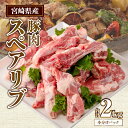 【ふるさと納税】宮崎県産 豚肉スペアリブ 合計2kg (400〜800g×4パック) 小分け パック 豚肉 肉 お肉 精肉 骨付き肉 …