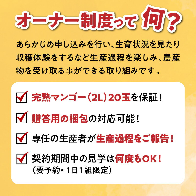 【ふるさと納税】マンゴーの木 オーナー 制度 【スタンダード】 マンゴー 完熟マンゴー 完熟 2L 20玉 宮崎県産 冷蔵 紅恋 宮崎マンゴー 高糖度 芳醇 果肉 オーナー制 生育 果物 フルーツ 南国 贈答 梱包 見学 グルメ 香り 宮崎県 宮崎市 送料無料