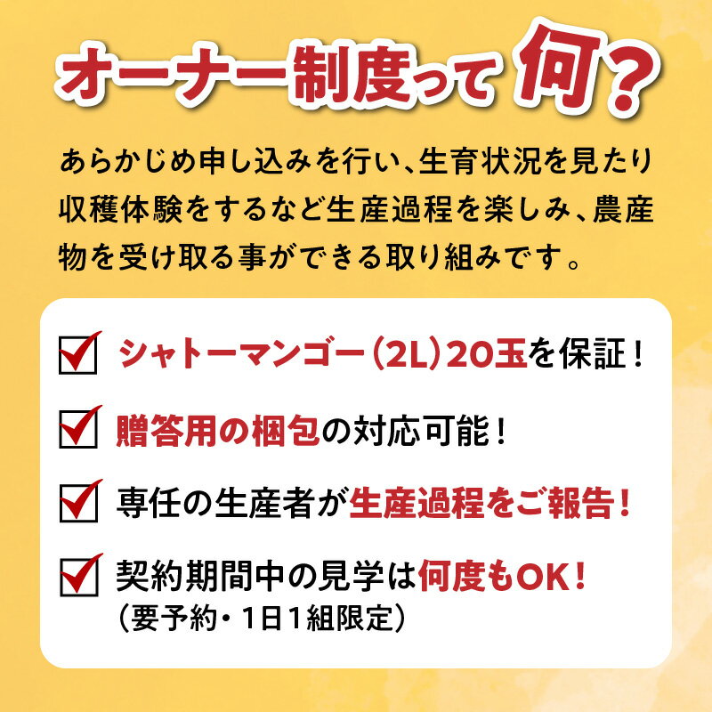 【ふるさと納税】マンゴーの木 オーナー制度 【プレミアム】 シャトーマンゴー シャトー マンゴー 2L 20玉 宮崎県産 冷蔵 宮崎マンゴー 高糖度 芳醇 果肉 オーナー制 生育 果物 フルーツ 南国 贈答 のし 梱包 見学 独自ブランド 香り 宮崎県 宮崎市 送料無料