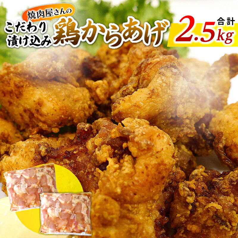 7位! 口コミ数「0件」評価「0」焼肉屋さんのこだわり漬け込み鶏からあげ 2.5kg サイドメニュー 畜産王国 ご家庭 焼肉 バーベキュー お肉 国産 食品 畜産物 宮崎県 ･･･ 