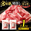 【ふるさと納税】宮崎牛 切落し 1kg 500g×2 パック 切り落とし 牛肉 肉 お肉 精肉 国産 宮崎県産 黒毛和牛 和牛 ブランド牛 アレンジ 料理 肉じ...