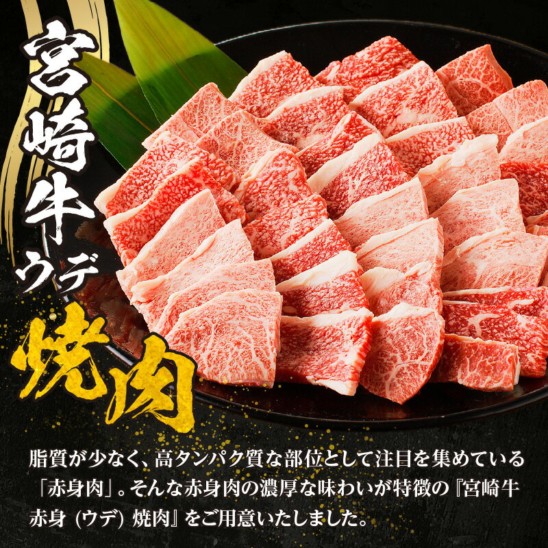 宮崎県宮崎市の画像3