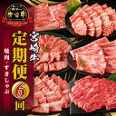 【ふるさと納税】宮崎牛 定期便 6回 焼肉 すきしゃぶ 定期 定期的 牛肉 肉 お肉 牛肩ロース 牛ウデ 牛モモ スライス 焼肉 牛肉定期便 赤身 赤身肉 霜降...