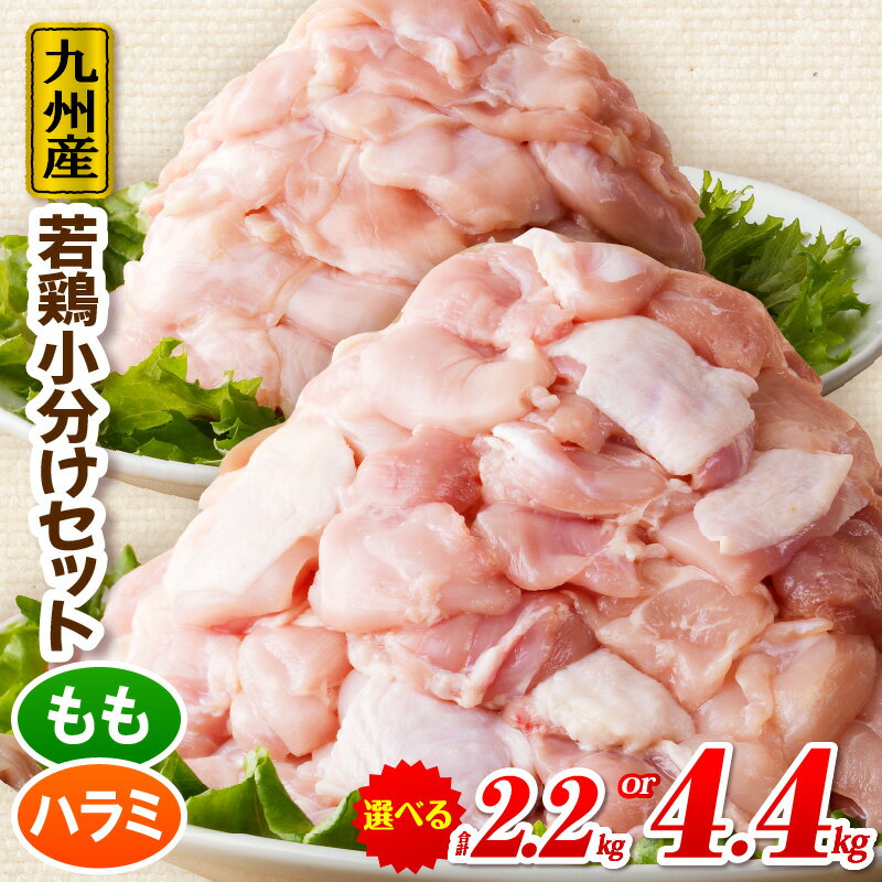 [内容量が選べる!]九州産若どり小分けセット 鶏肉 鶏 お肉 鶏ハラミ 鶏もも モモ肉 切り身 若鶏 国産 ジューシー おかず 料理 普段使い 便利 アレンジ 唐揚げ 揚げ物 チキン南蛮 炒め物 ソテー 冷凍 パック 小分け 小分けパック 宮崎県 宮崎市 送料無料