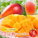 【ふるさと納税】《2025年発送》【選べるサイズ】【期間・数量限定】宮崎県産 完熟マンゴー 果物 フルーツ 果実 果肉 青果物 青果 デザート スイーツ おやつ...
