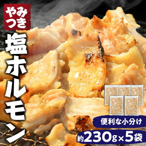 【ふるさと納税】 やみつき 塩 ホルモン 豚肉 豚 豚ホルモン 大腸 塩ホルモン 塩だれ ニンニク 肉 味付き 炭火焼き BBQ 焼肉 もつ鍋 炒め物 おつまみ おかず 小分け 簡単調理 焼くだけ 冷凍 冷凍便 ギフト プレゼント 贈答 お取り寄せ グルメ 宮崎県 宮崎市 送料無料の画像