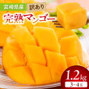 【ふるさと納税】《2026年発送先行予約》【数量・期間限定】宮崎県産訳あり完熟マンゴー1.2kg(3〜4玉) 果物 フルーツ 果実 青果物 完熟マンゴー デザー...