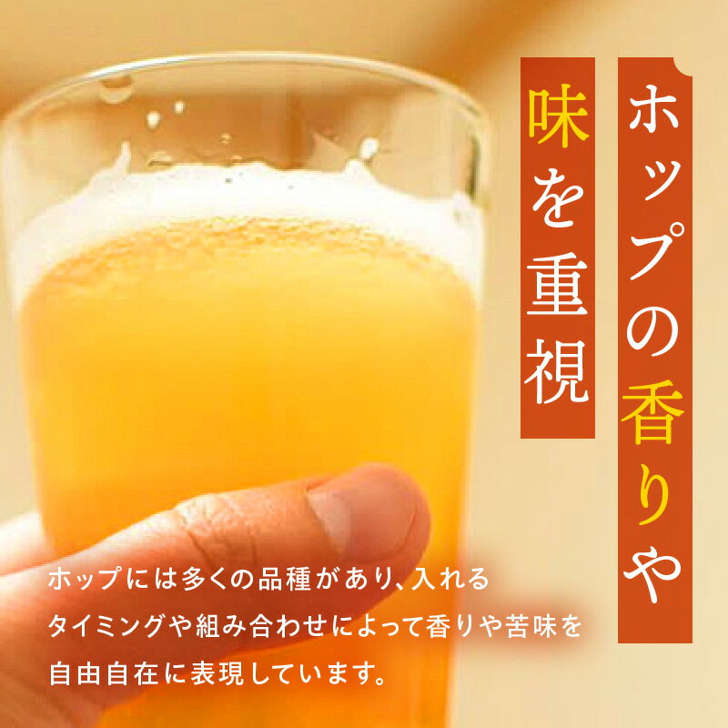 【ふるさと納税】【選べる内容量・定期便】おまかせMIX缶セット 350ml ビール クラフトビール 地ビール 大麦麦芽 ホップ ローカル ご当地 飲み比べ 味比べ 詰め合わせ セット ビールセット プレゼント 贈答 贈り物 ギフト お歳暮 お中元 定期便 缶ビール 缶 人気 おすすめ