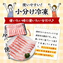 宮崎県宮崎市の画像3