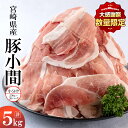 【ふるさと納税】《100億円到達記念》 数量限定 宮崎県産 豚こま切れ (250g×20パック) 合計5kg