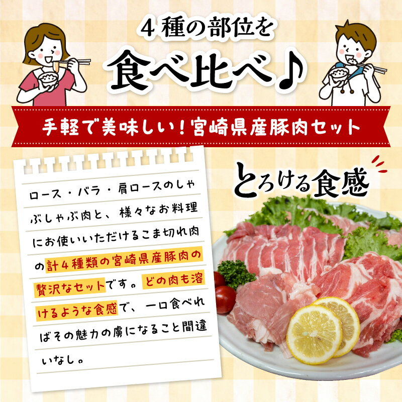 宮崎県宮崎市の画像2