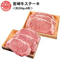 【ふるさと納税】宮崎牛ステーキ＜約250g×6枚＞ お肉 