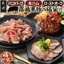 【ふるさと納税】【新春福袋★2026】霧島黒豚の福袋!ハンバーグ3種&生ハム&ローストポーク - 煮込みハンバーグ 生ハム切り落とし ローストポーク 加工品 福袋限定 期間限定 冷凍 送料無料 12-2802-F2026 【宮崎県都城市は2年連続ふるさと納税日本一!】