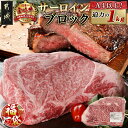 【ふるさと納税】【新春福袋★2026】宮崎牛サーロインブロック(1kg) - 宮崎県産宮崎牛 サーロインブロック 1kg 国産牛肉 ブロック肉 牛ブロック 塊肉 宮崎牛ステーキ 国産牛ステーキ ステーキ肉 冷凍 送料無料 38-N401-F2026 【宮崎県都城市は2年連続ふるさと納税日本一!】