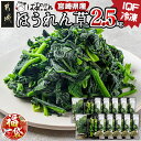 【ふるさと納税】【新春福袋★2026】宮崎県産(IQF冷凍)ほうれん草2.5kg - バラ凍結 葉物野菜 カット済ほうれん草 冷凍野菜 IQF冷凍 急速冷凍 常備野菜 必要な分だけ 250g×10P 炒め物 おひたし/胡麻和え/白和え 期間限定 福袋 送料無料 AA-1527-F2026 【宮崎県都城市】