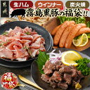 【ふるさと納税】【新春福袋★2026】霧島黒豚の福袋!生ハム&ウインナー&炭火焼 - 生ハム切り落とし あらびきウインナー 黒豚炭火焼 霧島黒豚 加工品 簡単調理 オードブル 福袋限定 送料無料 AA-2817-F2026【宮崎県都城市は2年連続ふるさと納税日本一!】