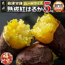 【ふるさと納税】【新春福袋★2026】島津甘藷 熟成紅はるか 5kg(2L~M) - 紅はるか 2L~M 5kg サイズ未選別 産地直送 さつまいも サツマイモ 九州 国産 土付き 送料無料 LD-A701-F2026【宮崎県都城市は2年連続ふるさと納税日本一!】