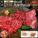 【ふるさと納税】【新春福袋★2026】都城産「桜肉」馬刺しロース・赤身ブロック300gセット - 馬刺し ロースブロック 赤身ブロック 各150g×1 真空 醤油・生姜の小袋付き 桜肉 馬肉 ギフト 期間限定 送料無料 MJ-0119-F2026【宮崎県都城市は2年連続ふるさと納税日本一!】