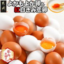 【ふるさと納税】【年内お届け】よかもよか卵&紅白きみ恋卵≪2025年12月15日〜31日お届け≫ - きみ恋卵 よかもよか卵 Mサイズ 紅白 たまご 卵 期間限...