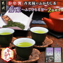 【ふるさと納税】【年内お届け】【お年賀】斉光園のふかむし茶藤紫【ふじむらさき】2袋ギフト≪2025年12月15日〜31日お届け≫ - 茶葉 藤紫 100g×2袋...