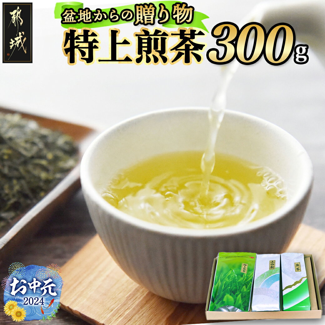 【お中元】盆地からの贈り物 特上煎茶セット - 茶葉 特上煎茶/上白折/煎茶 各100グラム×1本 お茶 一番茶 Green Tea 水出し 日本茶 ギフト 期間限定 送料無料 AA-4801-SG【宮崎県都城市は令和4年度ふるさと納税日本一！】