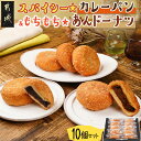  スパイシー☆カレーパン＆もちもち☆あんドーナツ10個セット - カレーパン あんドーナツ 各100g×5個 2種類 5個ずつセット おやつ 送料無料 12-F703【宮崎県都城市は令和4年度ふるさと納税日本一！】