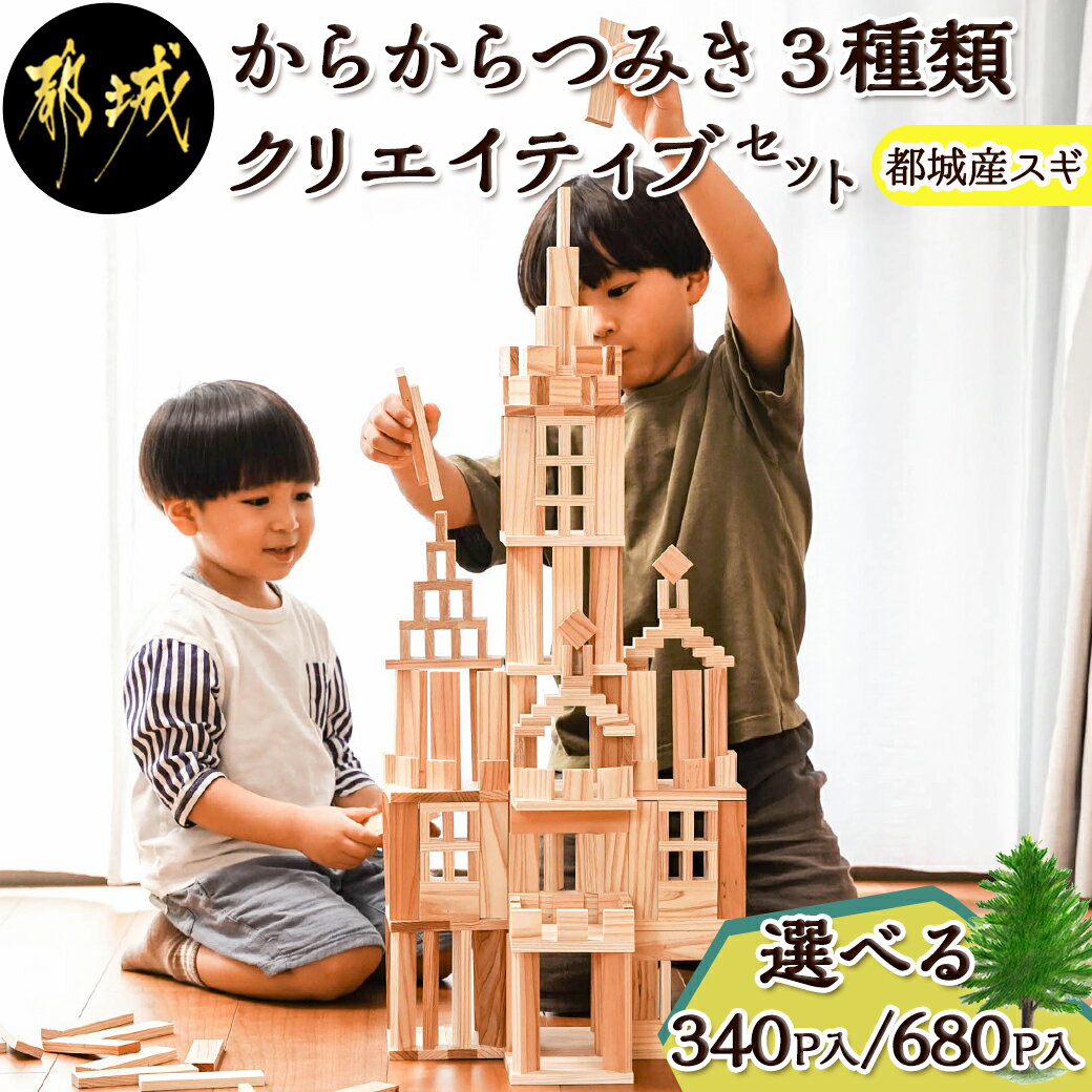 3位! 口コミ数「0件」評価「0」【選べる！】都城市産スギ「からからつみき」3種類クリエイティブセット - グッド・トイ2021 選べるセット内容 340P/680P 積み木･･･ 