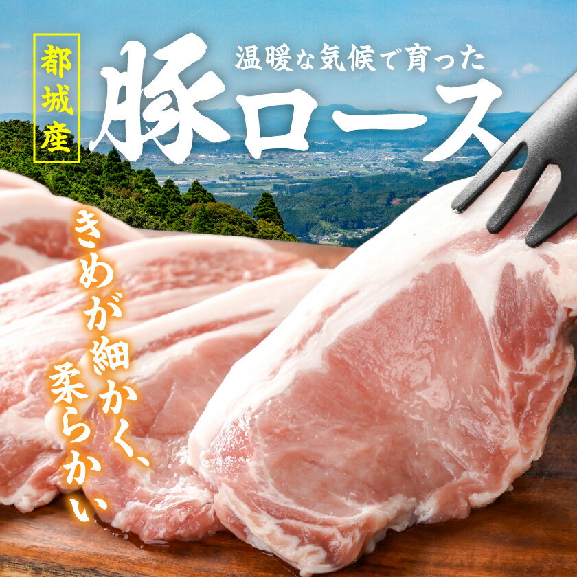 宮崎県都城市の画像3