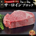 都城産宮崎牛サーロインブロック - ブロック肉 選べる内容量 1kg/2kg 肉のながやま 自社飼育 牛肉 焼肉 ステーキ すき焼き ブランド牛 サーロインステーキ 送料無料 SKU-2501 