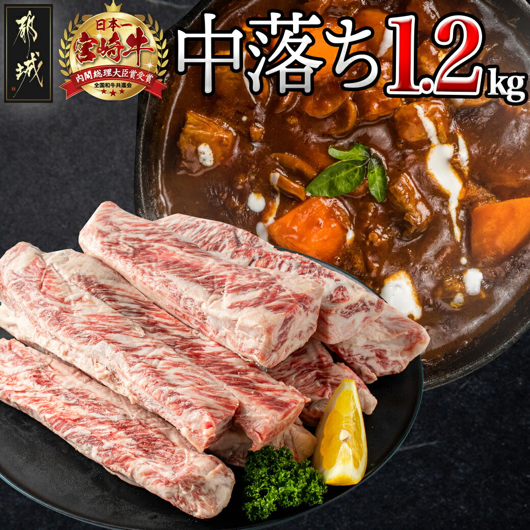 【ふるさと納税】都城産宮崎牛中落ち1.2kg - 宮崎県産宮崎牛牛肉 都城市産 A4ランク以上 牛中落ち肉 600g 2パック 牛中落ちカルビ ゲタ 中バラ 国産 牛バラ肉 送料無料 MJ-2509【宮崎県都城市…