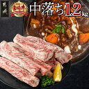 【ふるさと納税】都城産宮崎牛中落ち1.2kg - 宮崎県産宮崎牛牛肉 都城市産 A4ランク以上 牛中落ち肉(600g×2パック) 牛中落ちカルビ ゲタ 中バラ 国産 牛バラ肉 送料無料 MJ-2509【宮崎県都城市は令和4年度ふるさと納税日本一！】