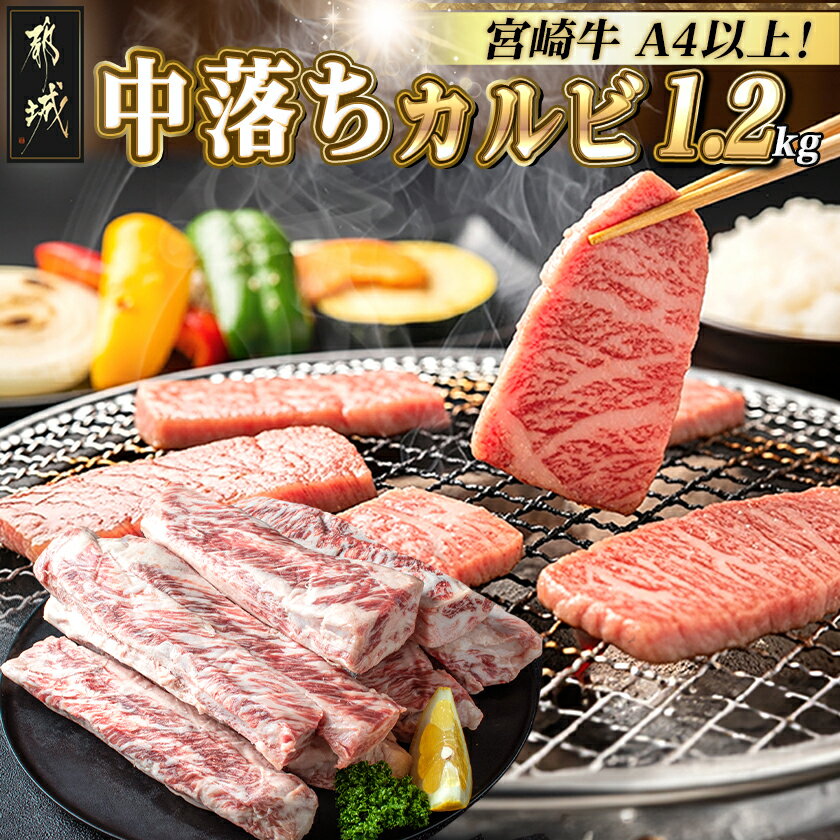 123位! 口コミ数「67件」評価「4.54」都城産宮崎牛中落ち1.2kg - 宮崎県産宮崎牛牛肉 都城市産 A4ランク以上 牛中落ち肉(600g×2パック) 牛中落ちカルビ ゲタ 中バラ 国産 牛バラ肉 送料無料 MJ-2509【宮崎県都城市は･･･ 