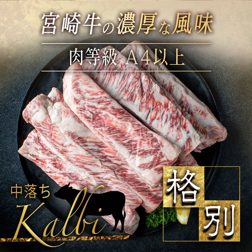 宮崎県都城市の画像3